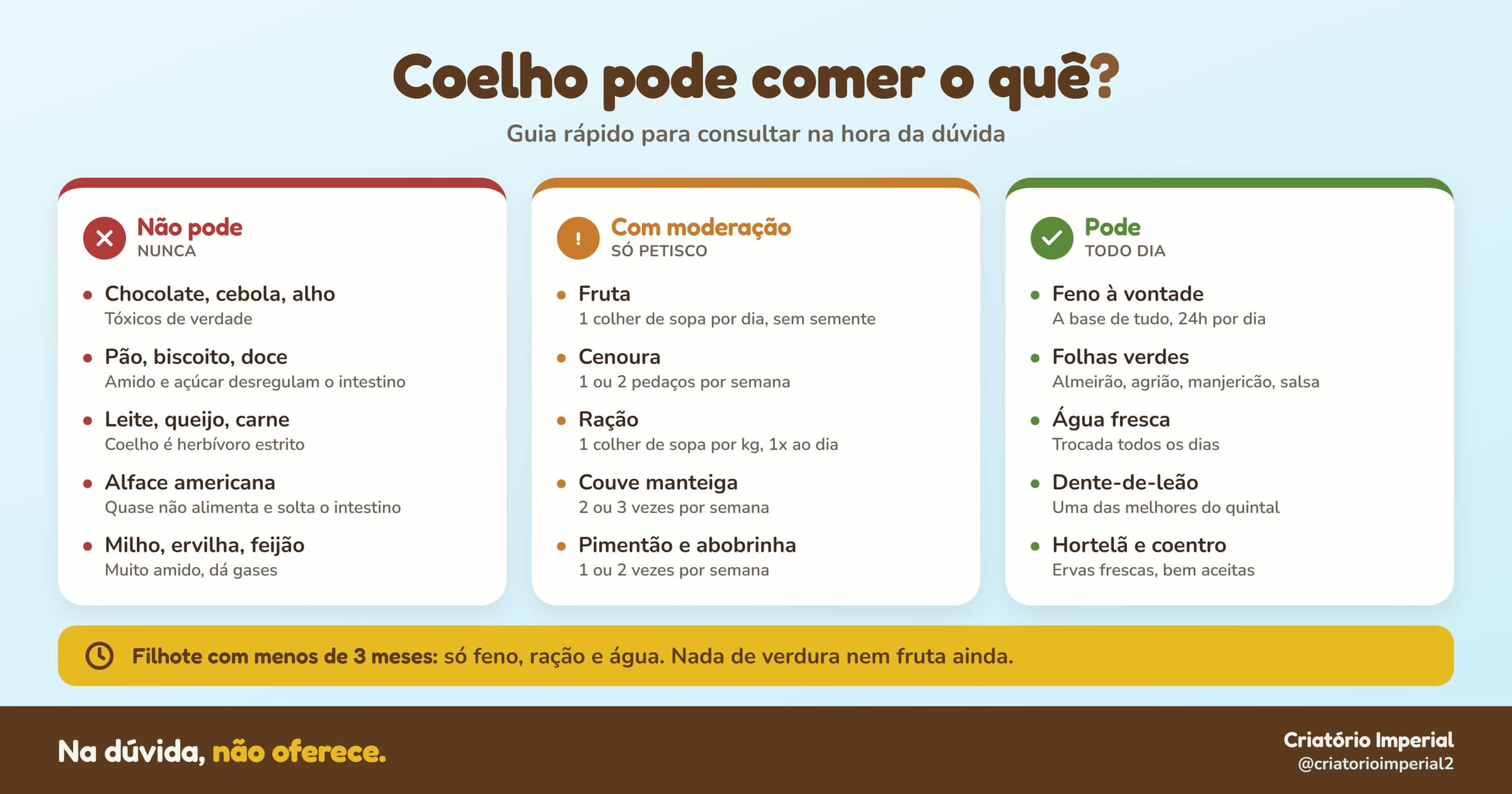 Guia visual em três colunas: não pode (chocolate, cebola, alho, pão, biscoito, doce, leite, queijo, carne, alface americana, milho, ervilha, feijão), com moderação (fruta, cenoura, ração, couve manteiga, pimentão e abobrinha) e pode todo dia (feno à vontade, folhas verdes, água fresca, dente-de-leão, hortelã e coentro)