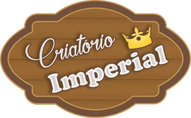 Criatório Imperial — coelhinhos de companhia com sobrenome