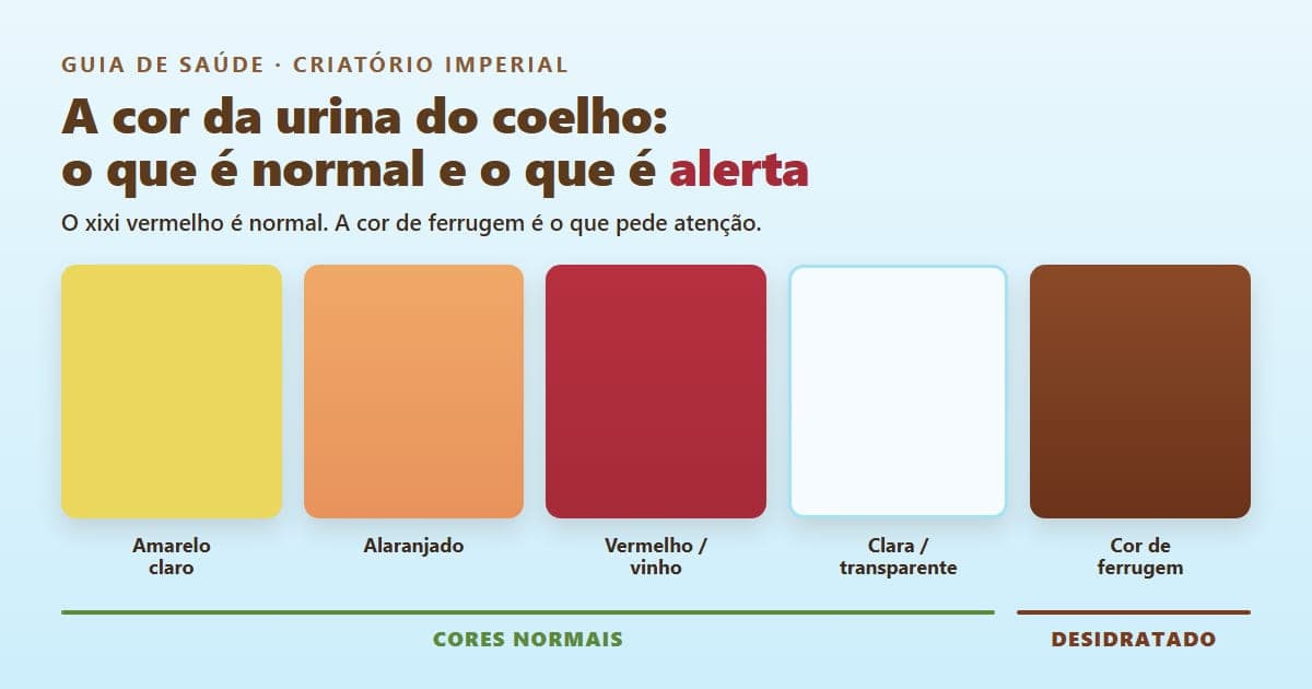 Escala visual com as cores da urina do coelho: amarelo claro, alaranjado, vermelho/vinho e clara são cores normais; a cor de ferrugem indica desidratação